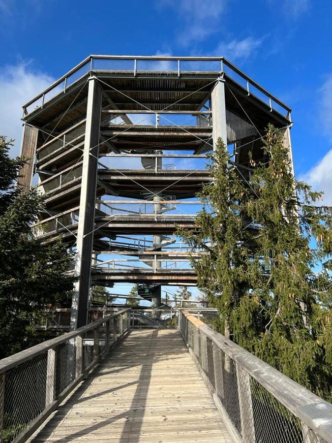 Residence Koubek - Apartmán A121 s infrasaunou Molo Lipno Lipno nad Vltavou Esterno foto